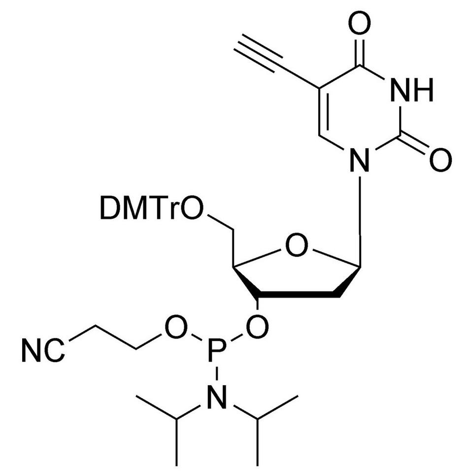 5-Ethynyl-dU CE-Phosphoramidite